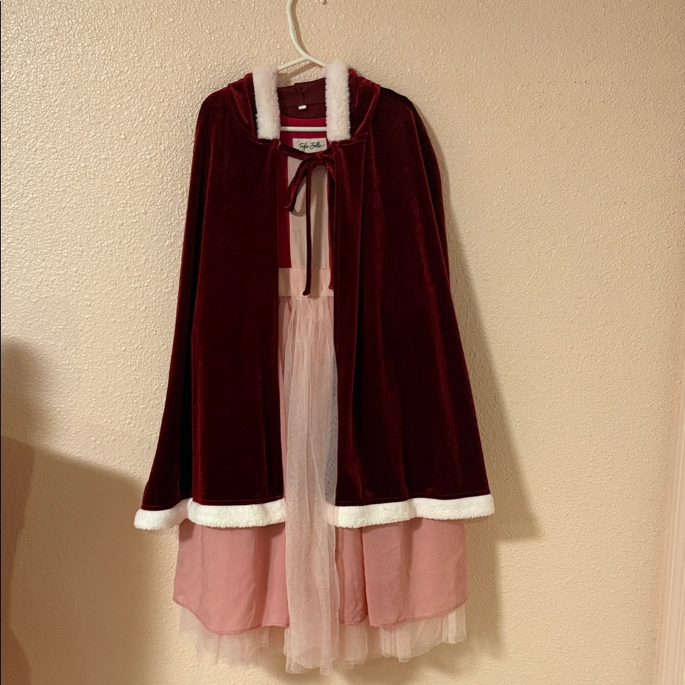 Taylor Joelle Winter Bell Dress size 6